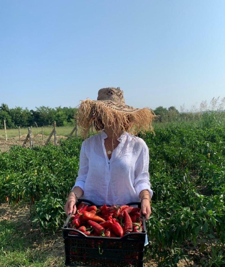 מלון Shijak Agroturizem Gjepali מראה חיצוני תמונה
